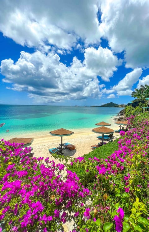 On the beach, white sand, sun loungers, beach umbrellas