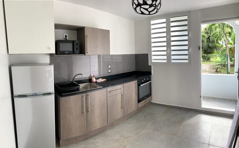 Superior Apartment, 1 Bedroom, Terrace | Private kitchen | Full-size fridge, microwave, stovetop, electric kettle