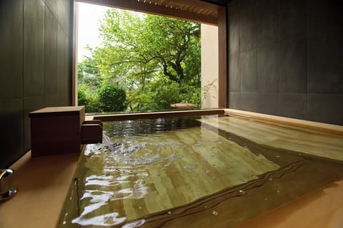 Japanese-Western style Two Bedroom with Private Bathroom Non Smoking | Free minibar, in-room safe, iron/ironing board, free WiFi
