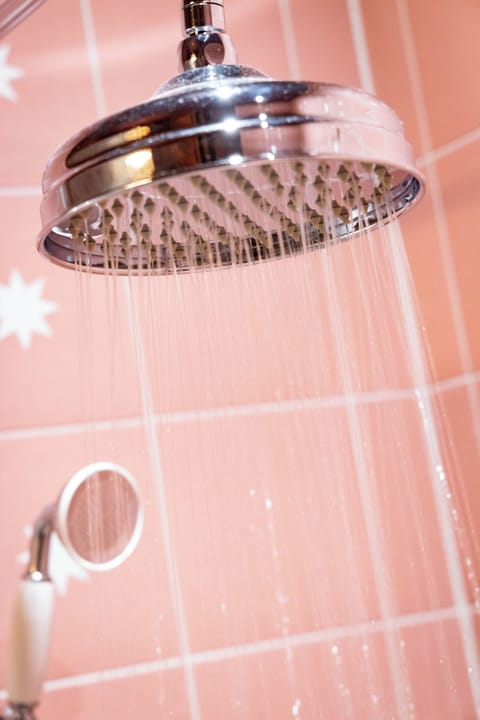 Luxe | Bathroom | Shower, hair dryer, towels, toilet paper