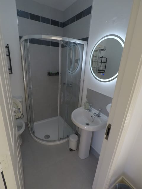 Classic Double Room | Bathroom | Shower, free toiletries, hair dryer, towels