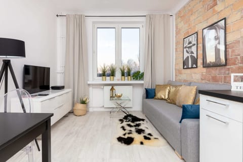 Deluxe Apartment | Living room | 30-inch flat-screen TV with cable channels, TV