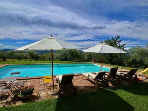 House | Pool | Outdoor pool