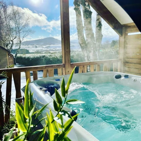 Premium bedding, memory foam beds, in-room safe, individually decorated