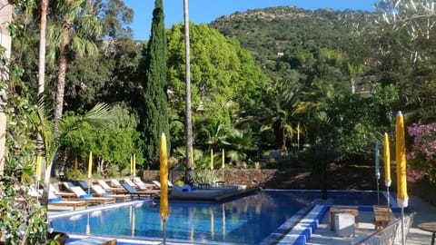 Seasonal outdoor pool, pool umbrellas, sun loungers