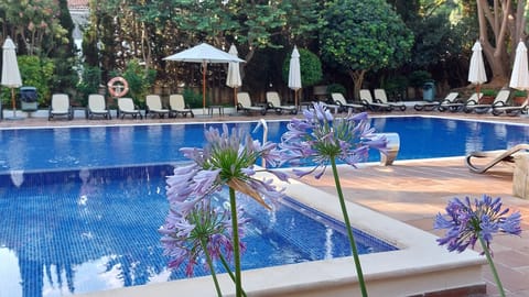 Outdoor pool, pool umbrellas, sun loungers