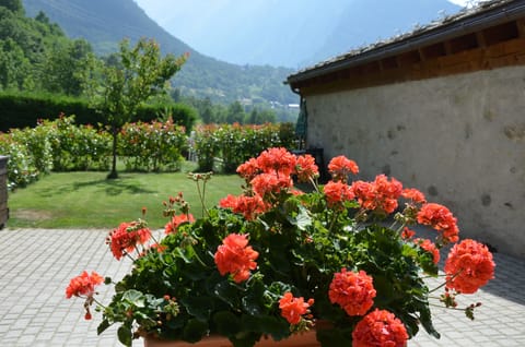 Apartment, 1 Bedroom | Exterior