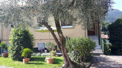 Apartment, 1 Bedroom, Smoking, Patio | Property entrance