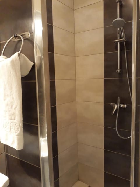 Shower, hair dryer, towels, toilet paper