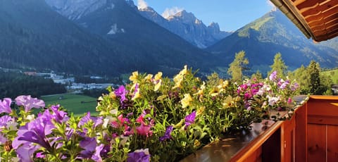 Triple Room | View from room