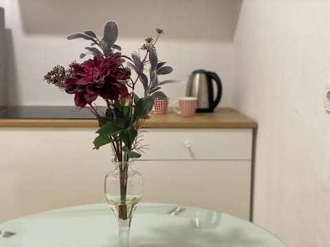 Standard Apartment | Private kitchen | Cookware/dishes/utensils, cleaning supplies