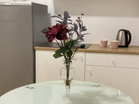 Standard Apartment | Private kitchen | Cookware/dishes/utensils, cleaning supplies