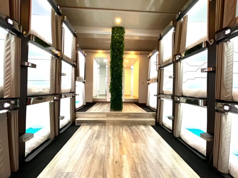 Standard Shared Dormitory | Hypo-allergenic bedding, free WiFi
