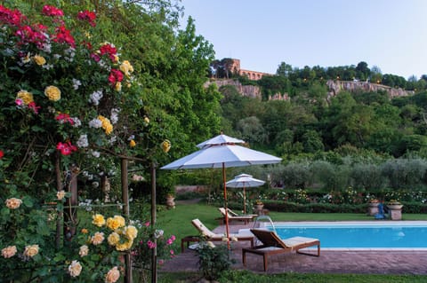 Seasonal outdoor pool, pool umbrellas, sun loungers