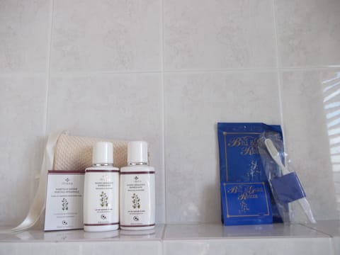 Shower, free toiletries, hair dryer, bidet