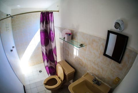 Standard Double Room | Bathroom | Shower, free toiletries, towels