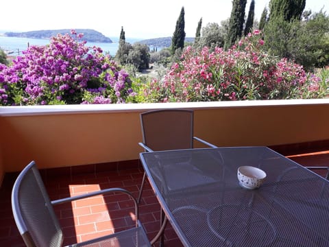 Apartment (One Bedroom Apartment with Terrace) | Terrace/patio