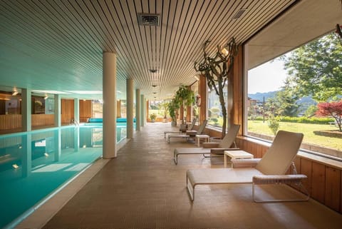 Indoor pool, sun loungers