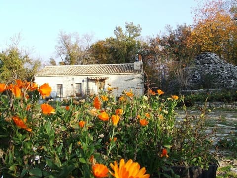 Luxury Apartment (Picchio Rosso-first floor) | View from room