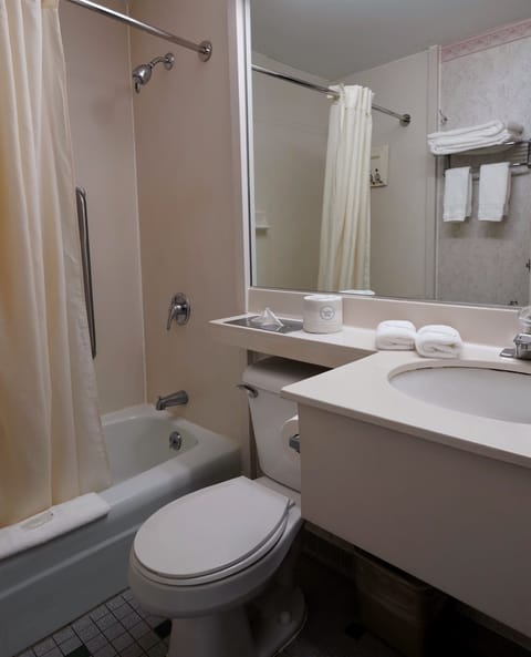 Combined shower/tub, free toiletries, hair dryer, towels