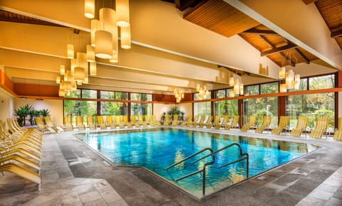 Indoor pool, sun loungers
