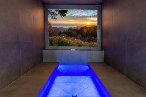 Sauna, hot tub, steam room