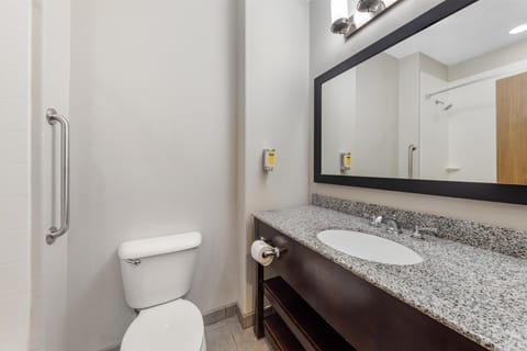 Combined shower/tub, free toiletries, hair dryer, towels