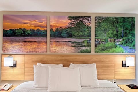 Desk, free cribs/infant beds, rollaway beds, free WiFi