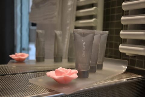 Free toiletries, hair dryer, bathrobes, slippers