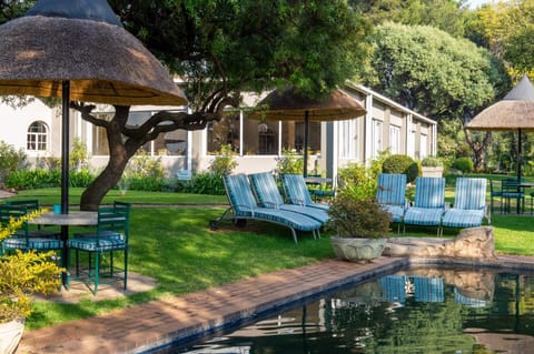Outdoor pool, pool umbrellas, sun loungers