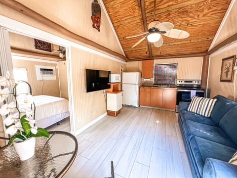 Tiki Suite Handicap Accessible | Living area | TV