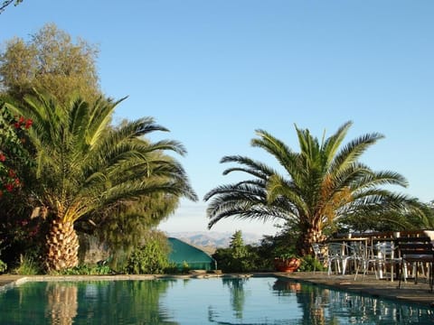 Seasonal outdoor pool, pool umbrellas