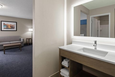 Studio Suite, 1 King Bed, Non Smoking | Bathroom | Combined shower/tub, free toiletries, hair dryer, towels