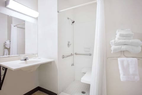 Room, 1 King Bed, Accessible, Non Smoking | Bathroom shower