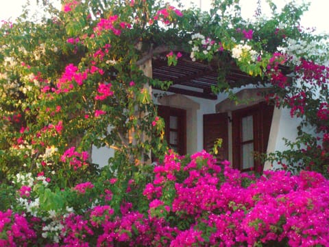 Apartment, 2 Bedrooms (Upper Floor) | View from room