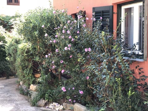 Studio, Multiple Bedrooms, Balcony, Garden View | Garden