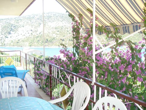 Apartment, 2 Bedrooms, Smoking, Balcony | Property grounds