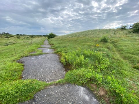 House | Property grounds