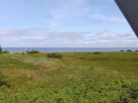 House | View from property