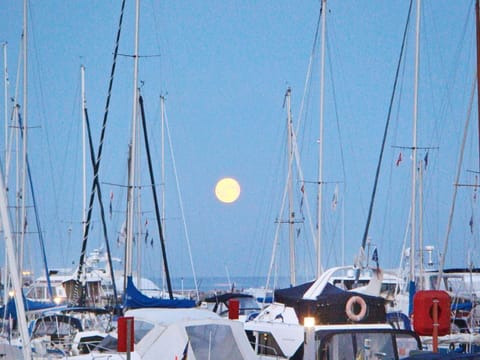 House | Marina