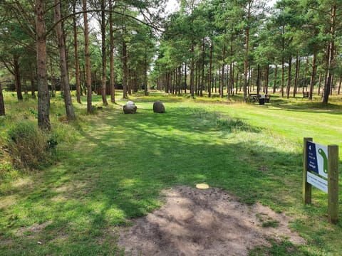 House | Property grounds