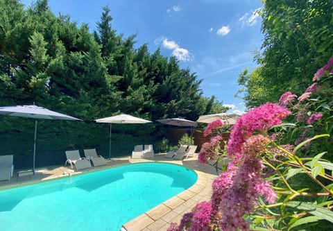 Seasonal outdoor pool, open 10:00 AM to 8:00 PM, sun loungers