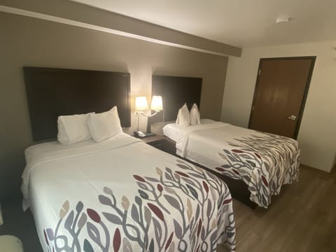 Standard Room, 2 Double Beds, Non Smoking | Down comforters, pillowtop beds, desk, laptop workspace