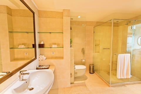 Shower, rainfall showerhead, free toiletries, hair dryer