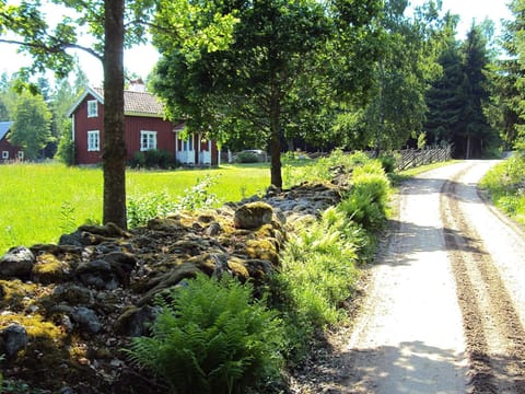 House | Property grounds