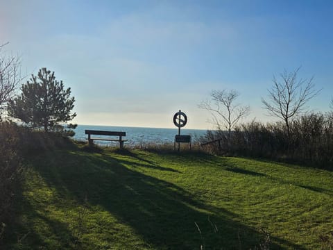 House | Property grounds