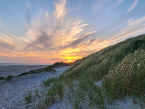 House | Beach