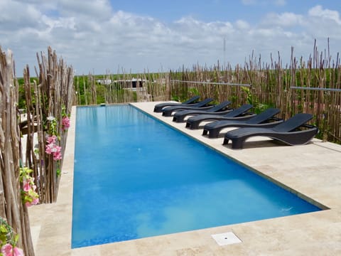 Outdoor pool, open 8:00 AM to 9:00 PM, pool umbrellas, sun loungers