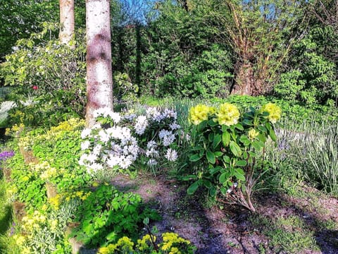 House | Exterior detail