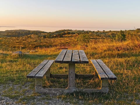 House | Outdoor dining